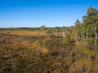 Blick vom Aussichtsturm übers herbstliche Moor